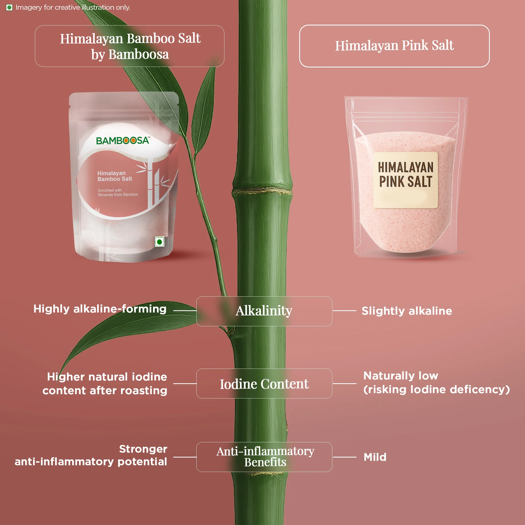 Bamboosa Himalayan Bamboo Salt, 500g (Mineral-Rich | Alkaline Salt | Cooking & Wellness) - Image 6