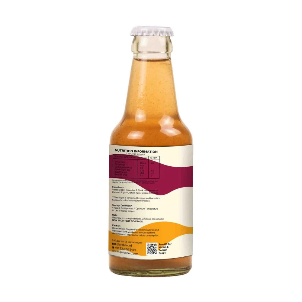 Kombucha KOKAGIN (Kokam Ginger), 250ml - Image 2