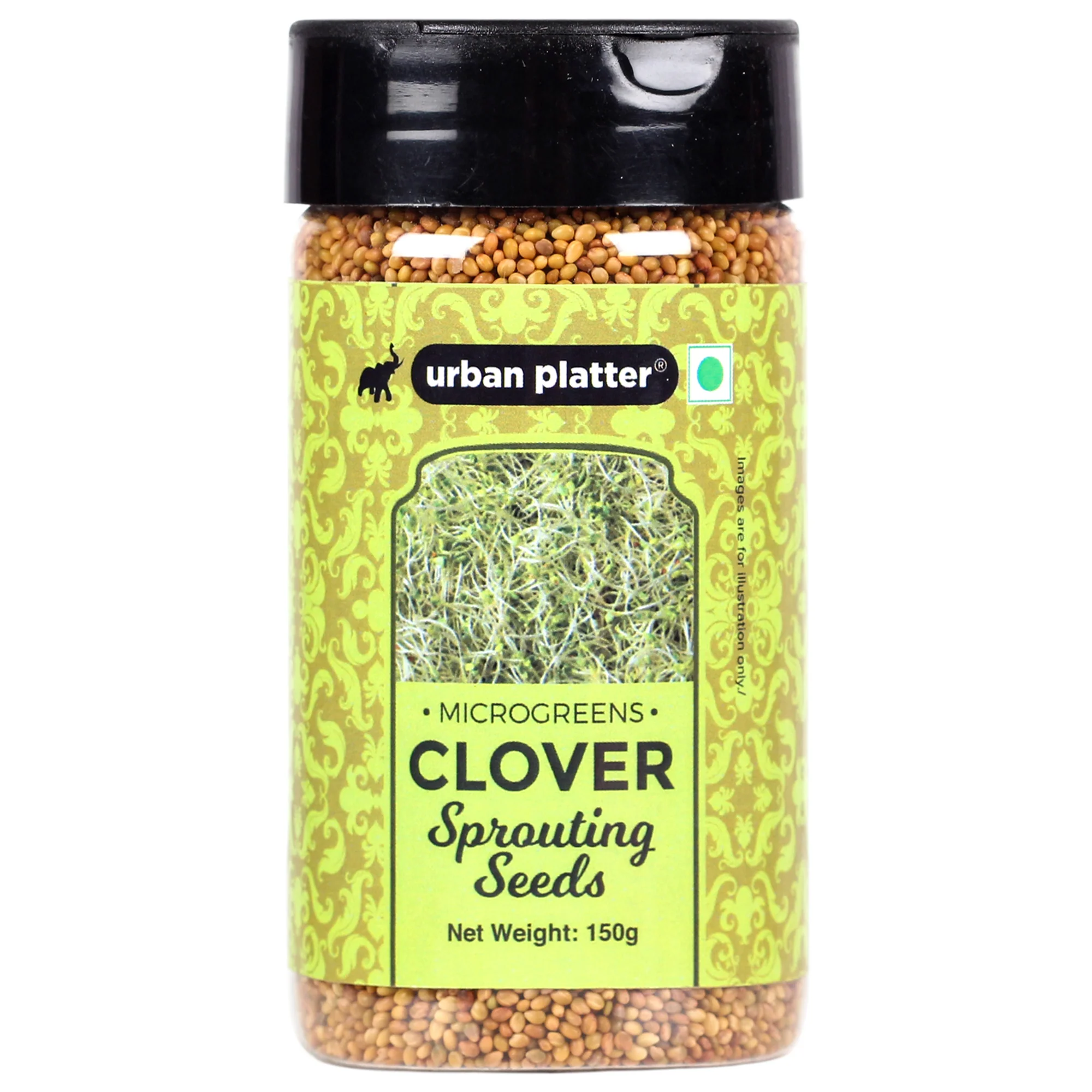 Microgreens Clover Sprouting Seeds Shaker Jar, 150g