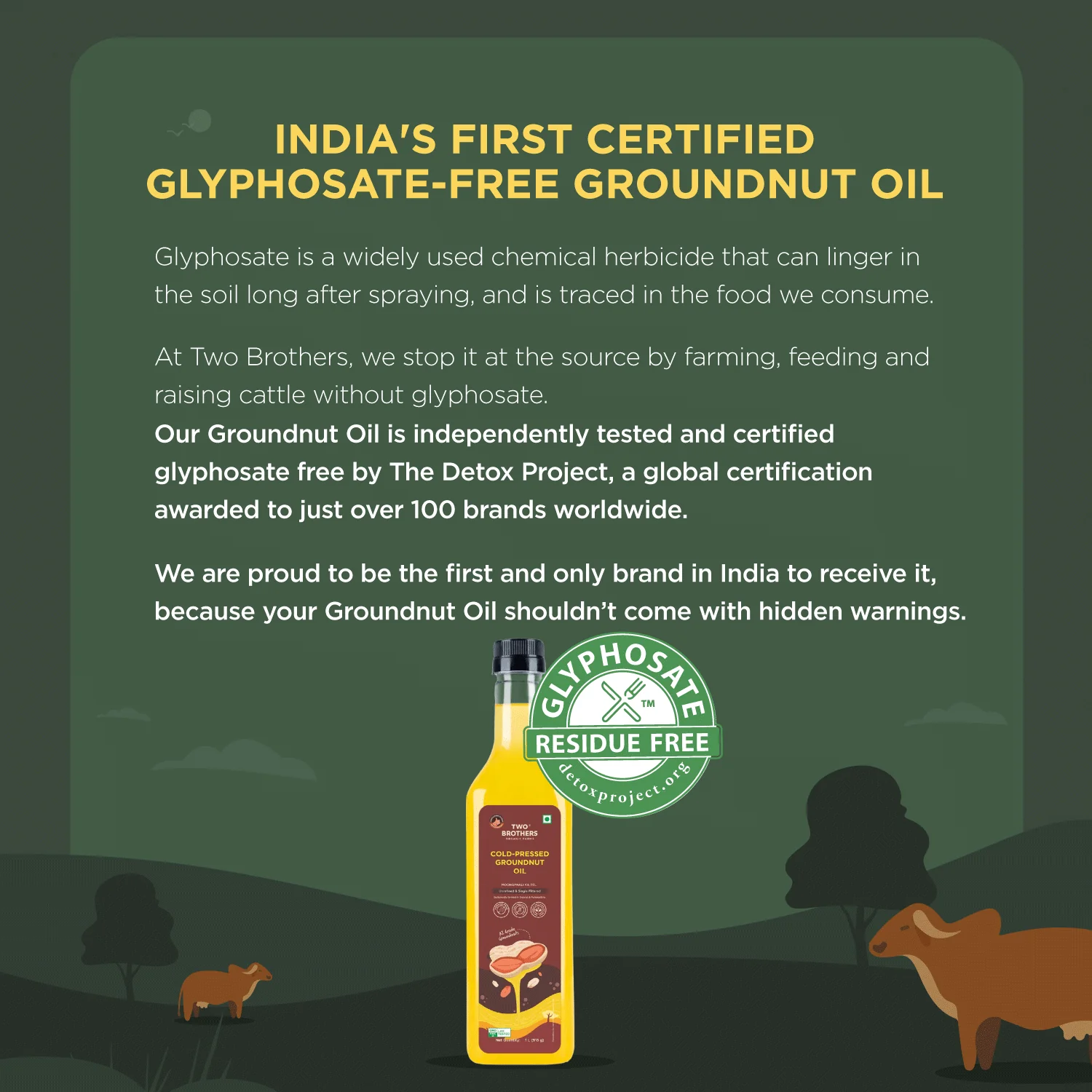 Two Brothers Organic Farms Groundnut Oil, 1L (Cold Pressed Kacchi Ghani, Unrefined, Single-Filtered, Natural Shengdana Oil for Cooking & Frying, Rich Nutty Aroma, Mungfali Tel) - Image 4