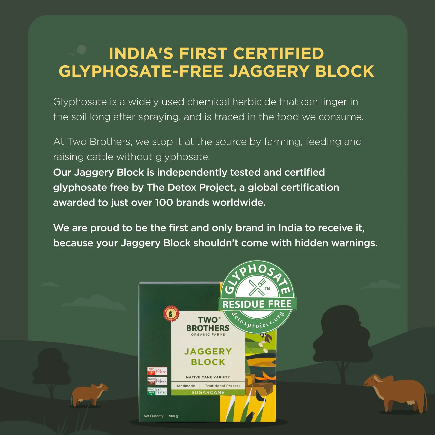 Two Brothers Organic Farms Handmade Sugarcane Jaggery Block, 900g (Unrefined, Preservative-Free, Nutrient-Rich Gud, Iron-Boosting, Healthy Sugar Substitutes) - Image 7