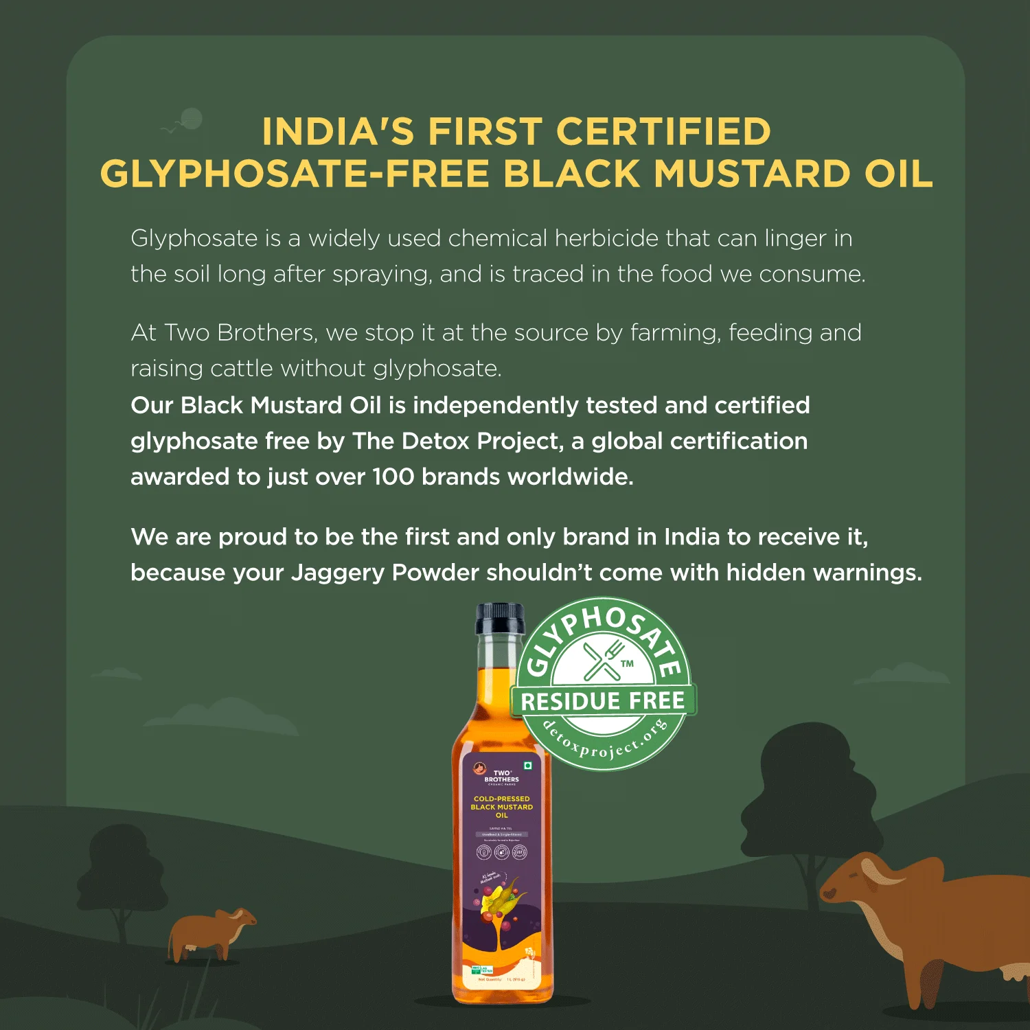 Two Brothers Organic Farms Mustard Oil/Sarso Ka Tel, 1L (Made using farm grown Mustard seeds, Cold-Pressed and Single-Filtered Oil for healthier Cooking, Kacchi Ghani, Natural and Unrefined) - Image 3
