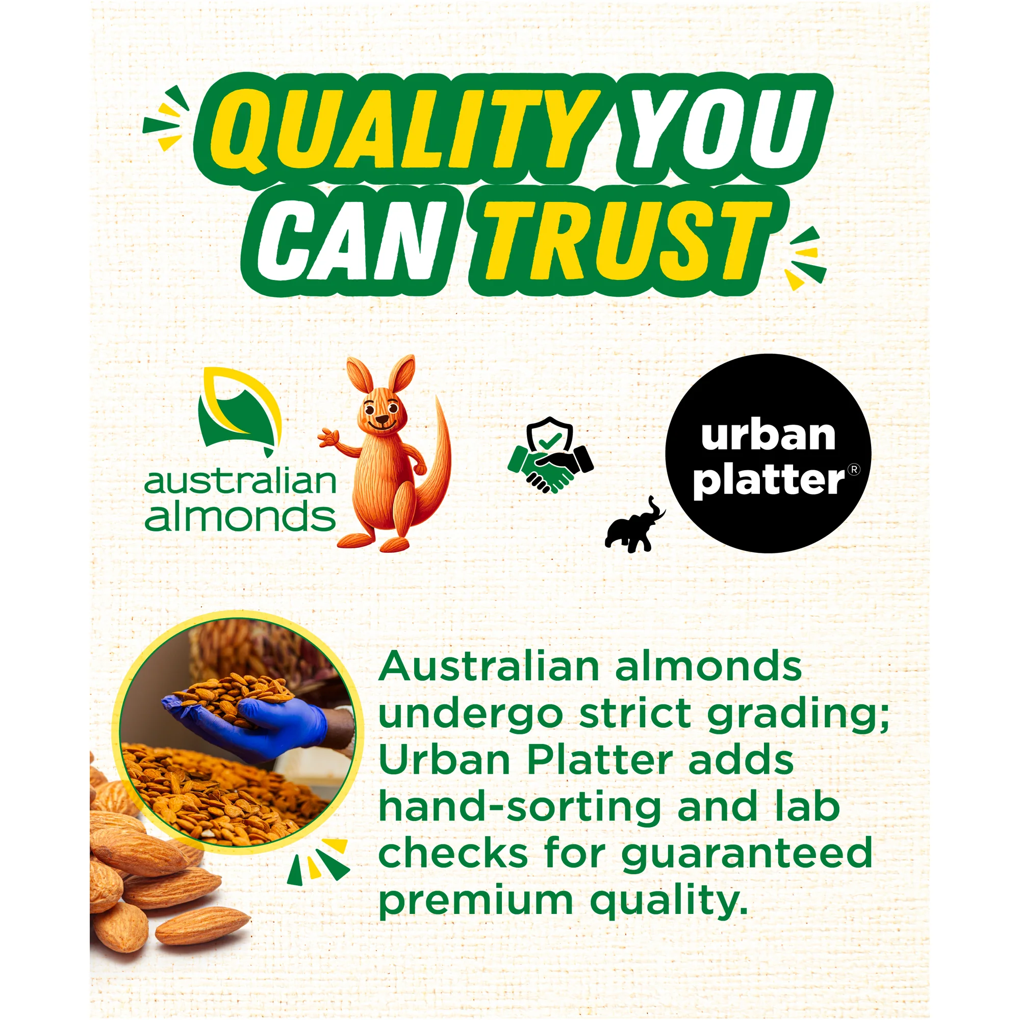 Australian Almonds, 250g (Fresh, Crunchy, Carefully Sourced for Daily Wellness) - Image 9