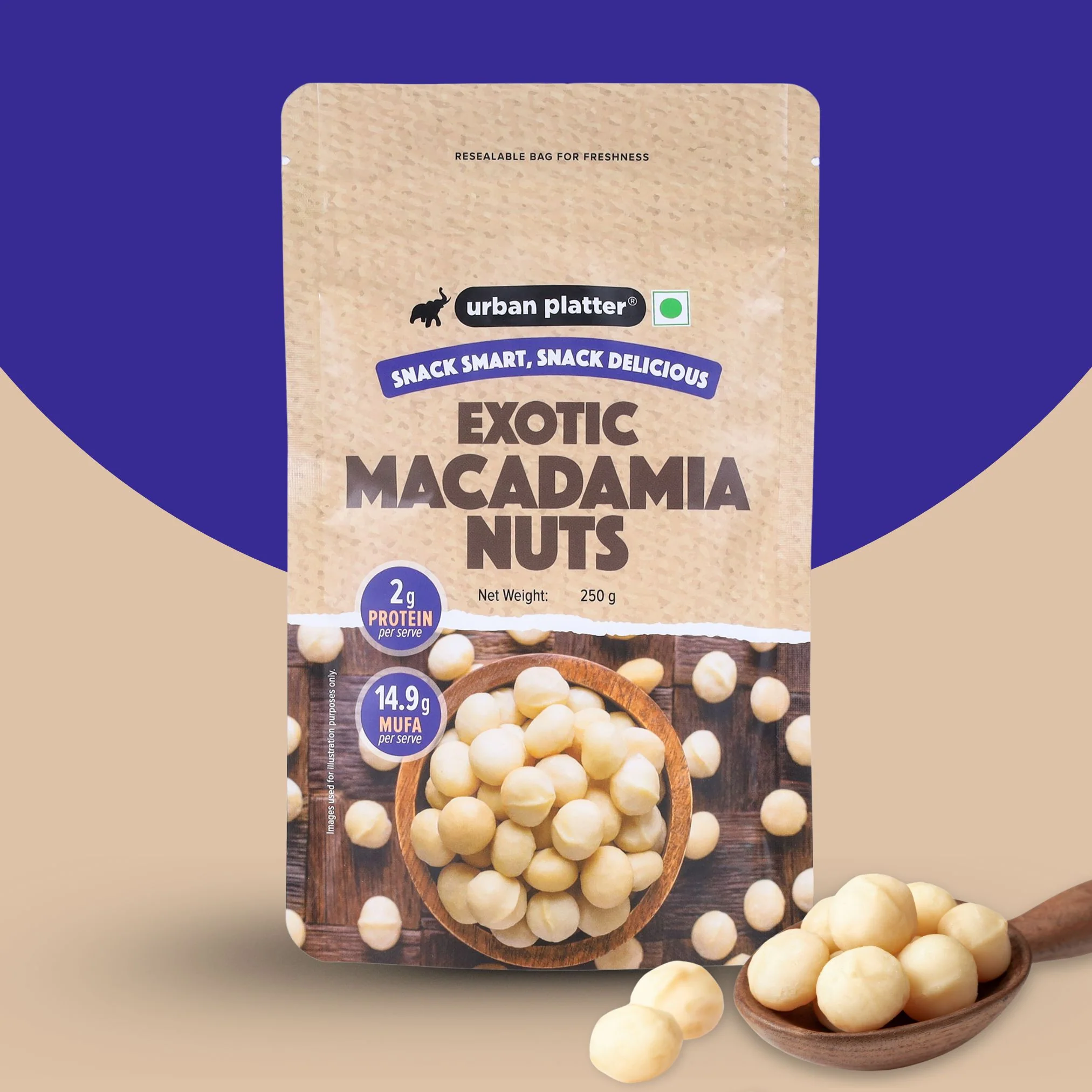 Bold and Exotic Macadamia Nuts, 100g (Grade A | Crunchy | Perfect for Snacking) - Image 7