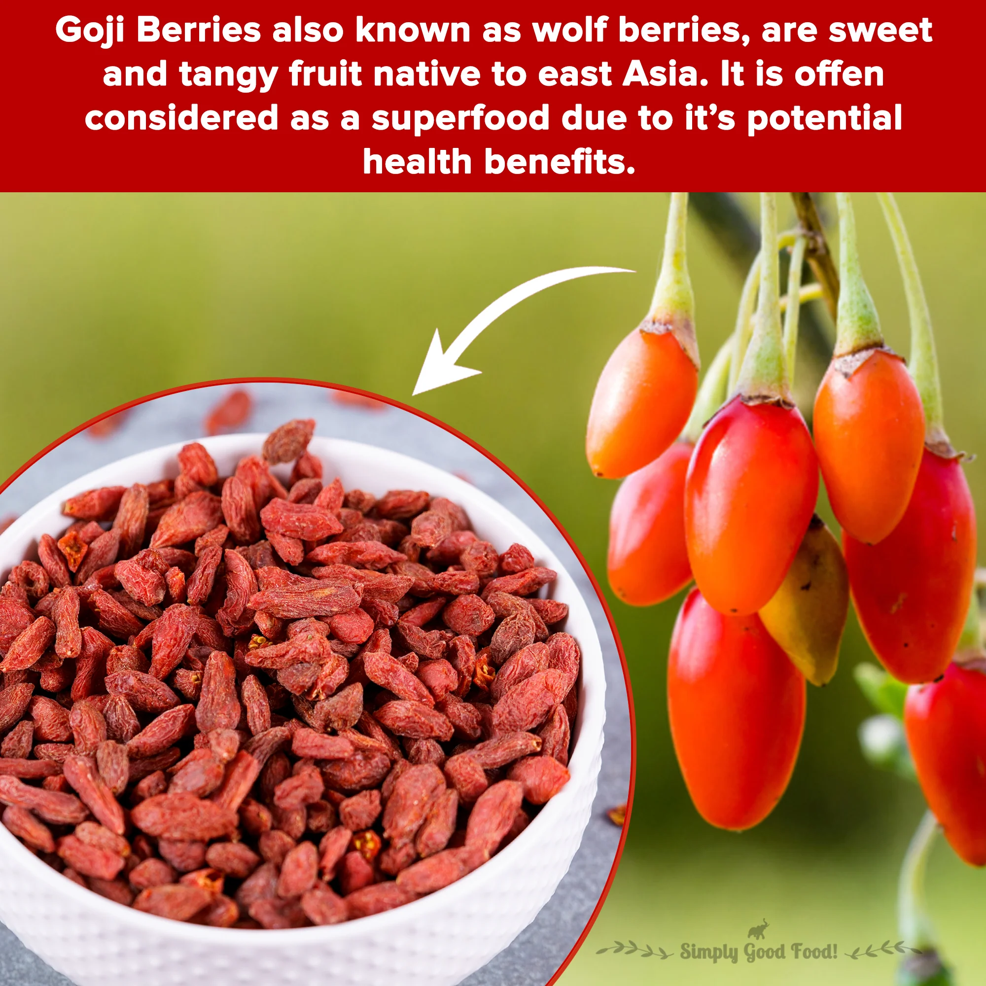 Goji Berries, (Antioxidant-Rich Superfood | Naturally Sweet & Chewy | Great for Snacking, Smoothies & Baking) - Image 4