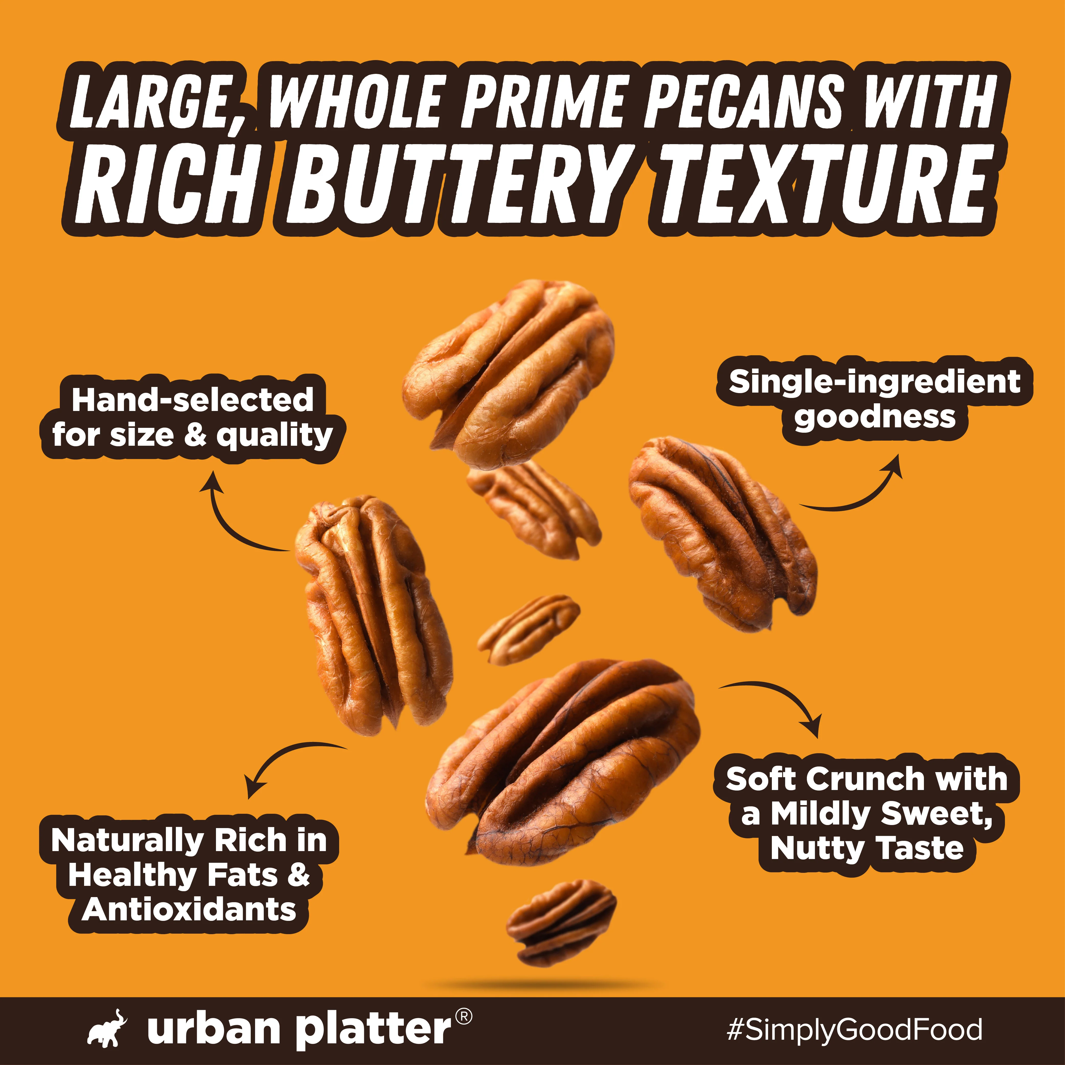 Jumbo Mammoth Pecan Halves, 200g (Imported from the USA | Hand-Sorted | Ideal for Snacking, Baking & Desserts) - Image 5