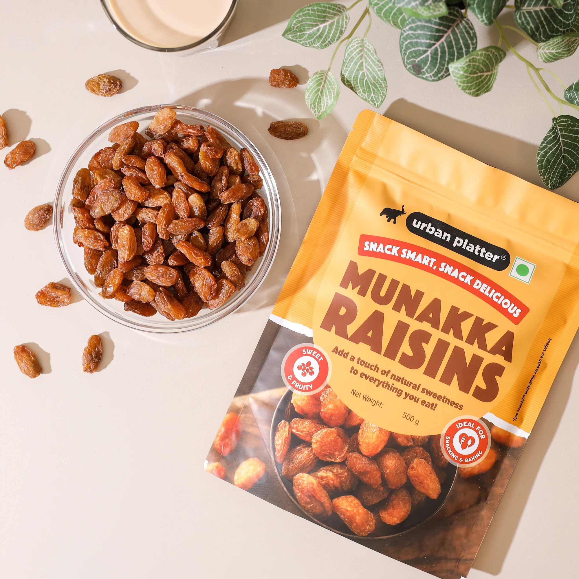 Premium Munakka Raisins, 500g (Naturally Sweet & Juicy | Rich in Antioxidants | Contain seeds | Ayurveda Superfood) - Image 4