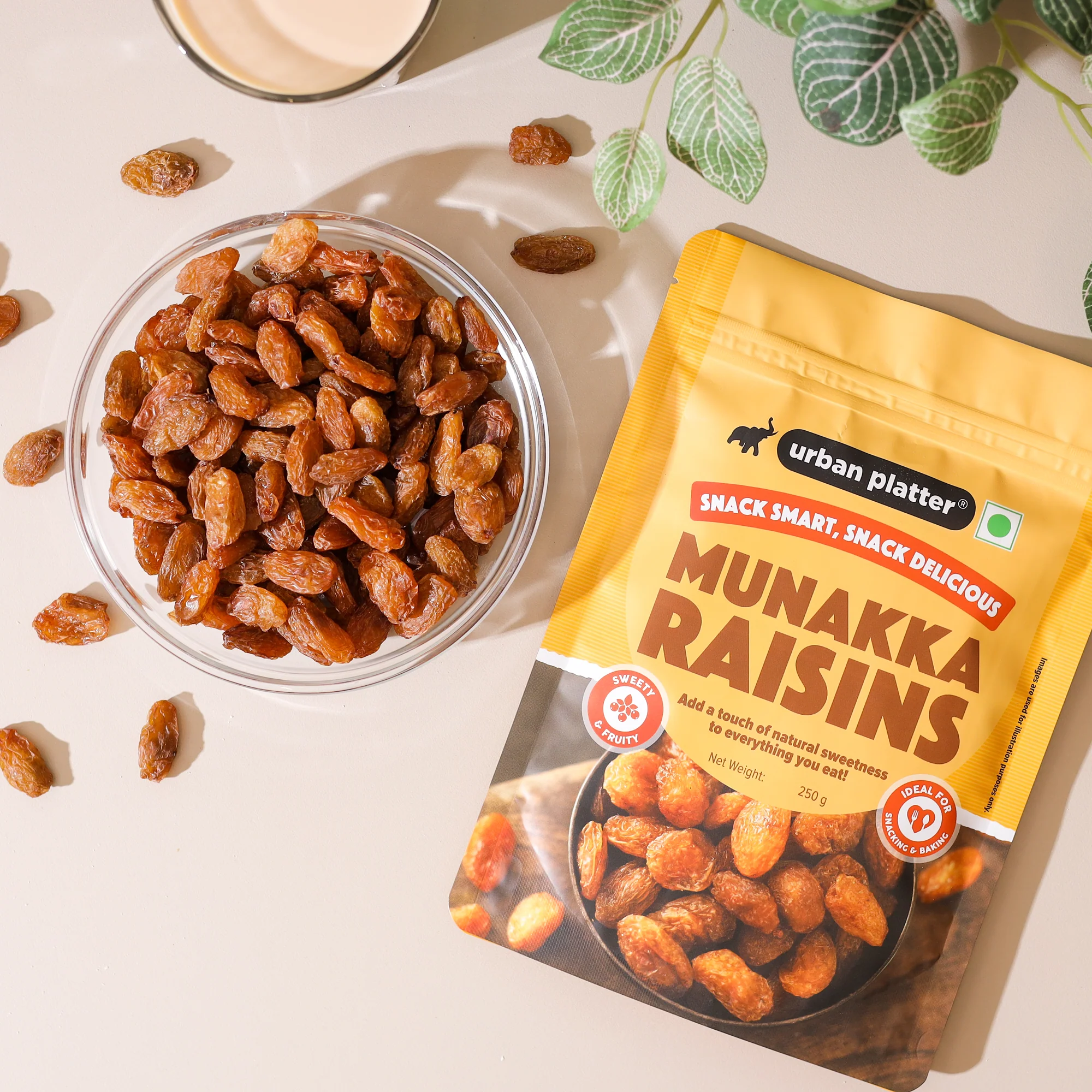 Premium Munakka Raisins, (Naturally Sweet & Juicy | Rich in Antioxidants | Contain seeds | Ayurveda Superfood) - Image 4