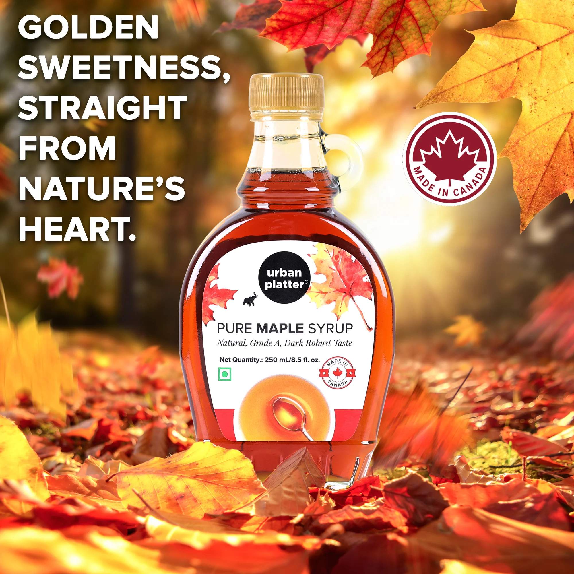 Pure Canadian Maple Syrup, 250ml - Image 3